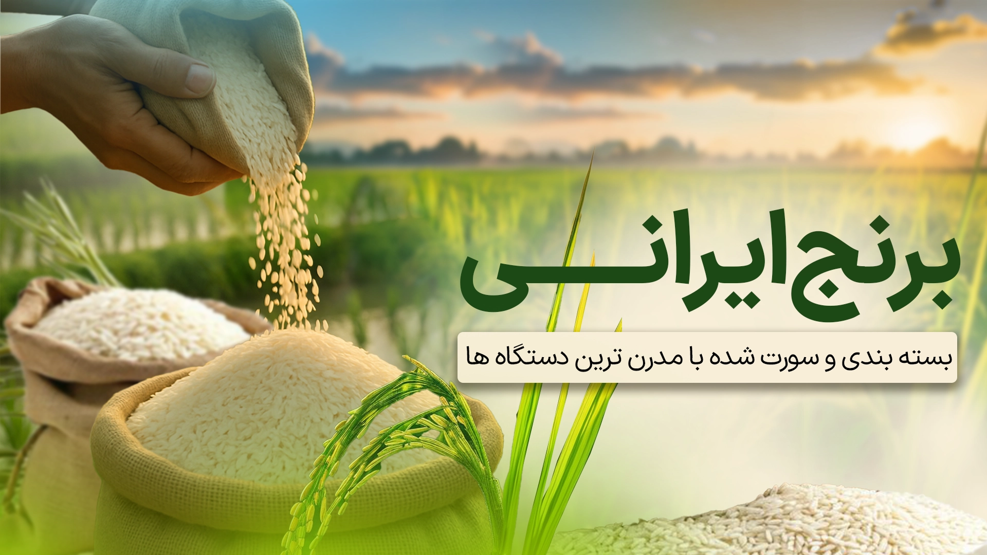 تصویر بنر