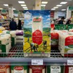 برنج اصیل شمال کشت نو