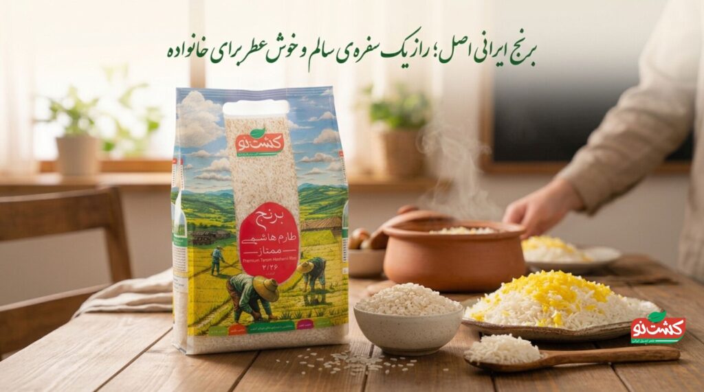 برنج طارم هاشمی کشت نو